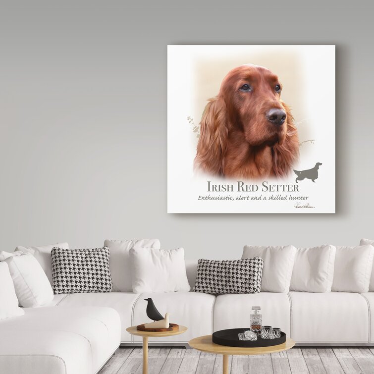 Irish setter outlet 2875